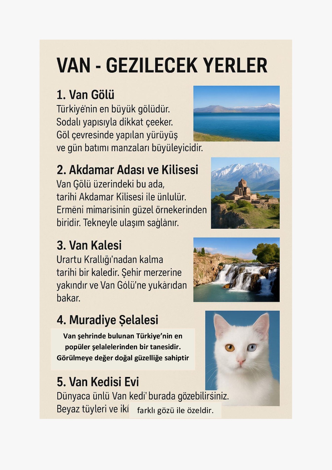 Van Kültürel Özellik 1